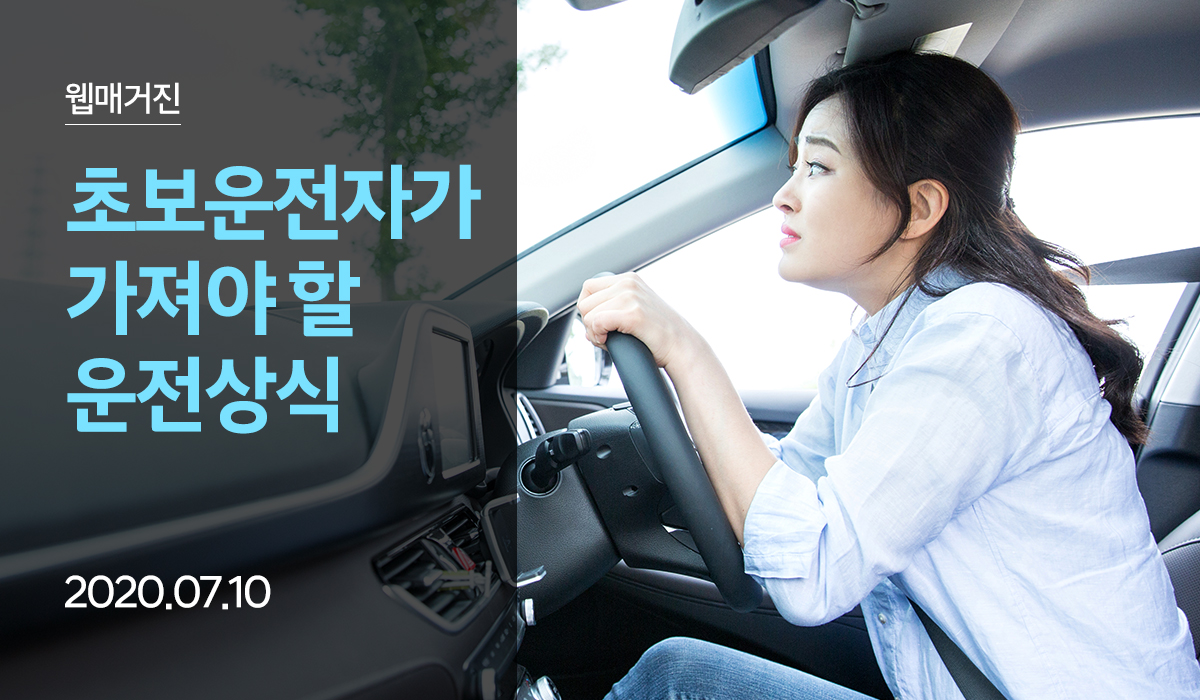 매거진 내용