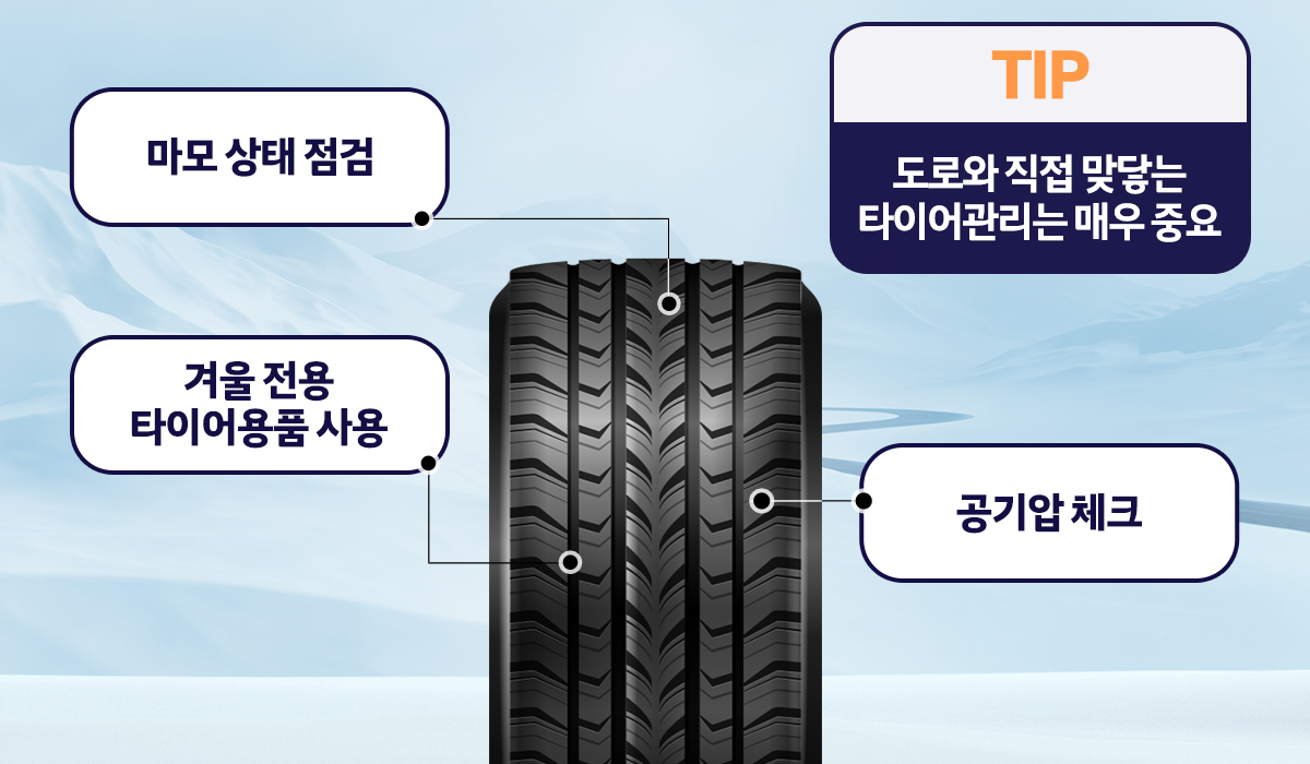 매거진 내용
