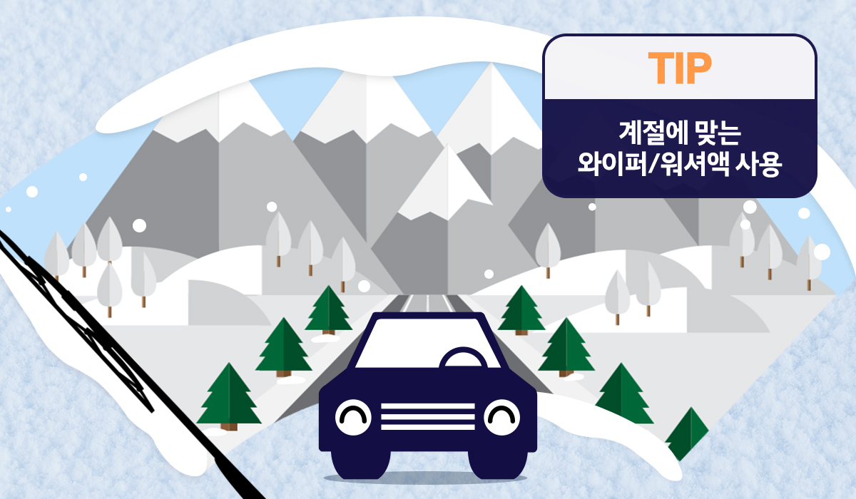 매거진 내용